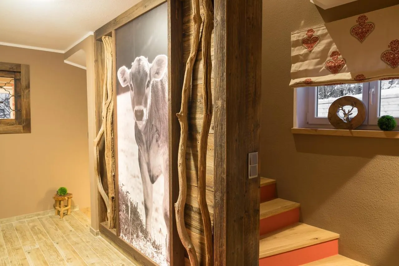 Chalet Alpin Oberstdorf Germany